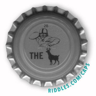 Lucky Beer Bottle Cap #28 series 1 Riddles.com/caps